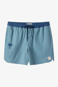 OG SOLID SCALLOP VOLLEY 16