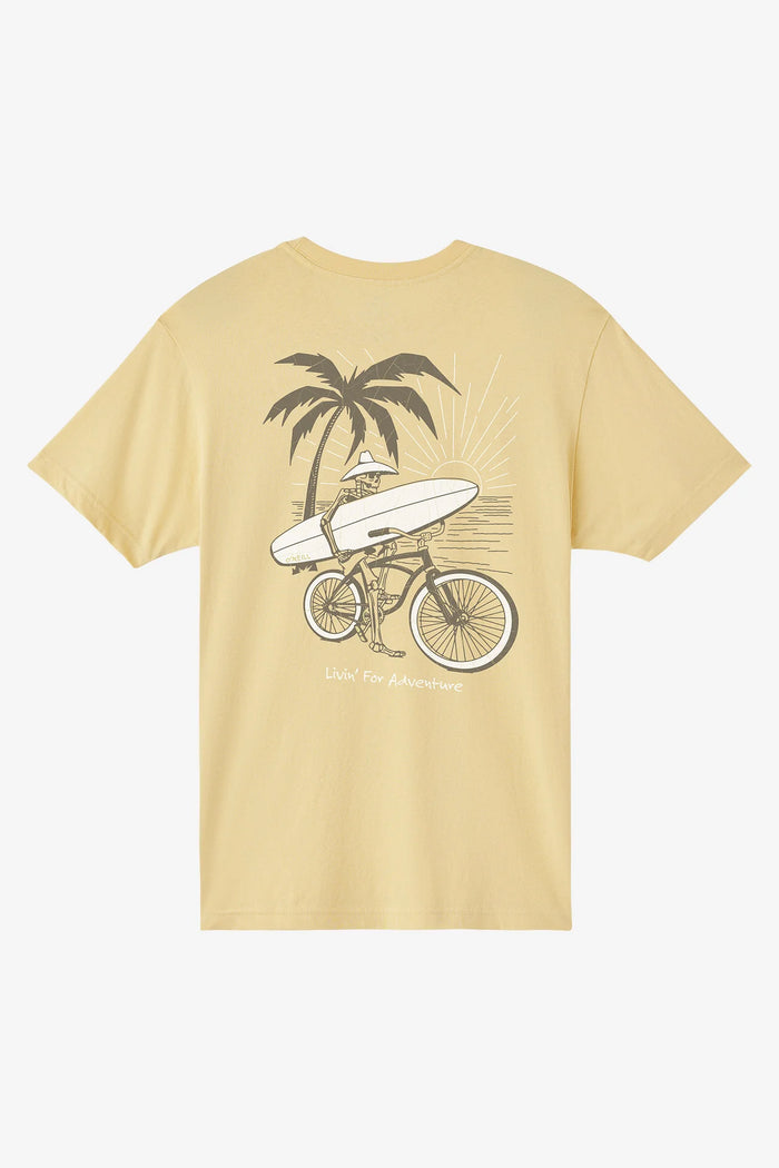 BEACHCOMBER