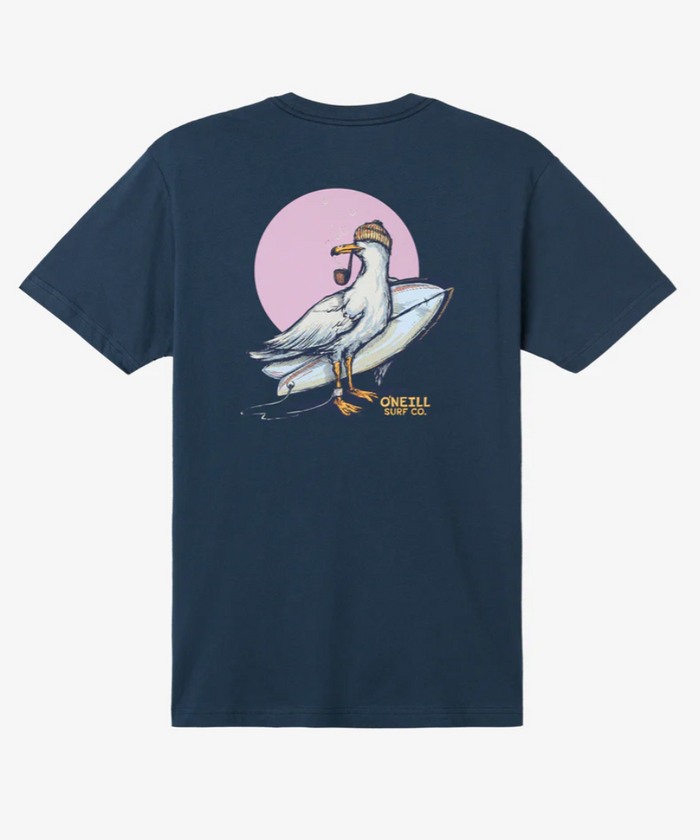 STEVEN SEAGULL
