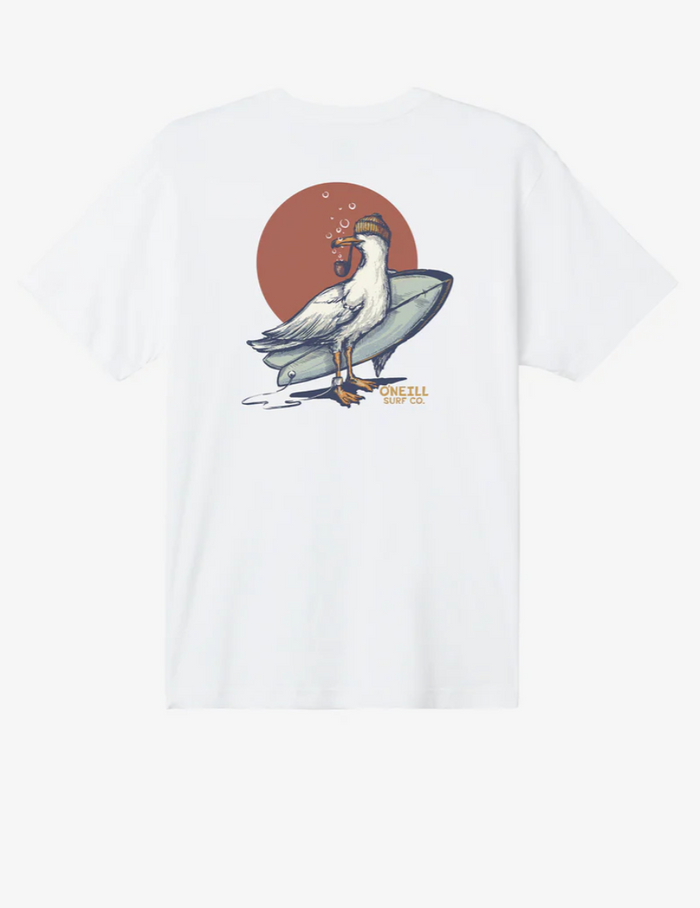 STEVEN SEAGULL